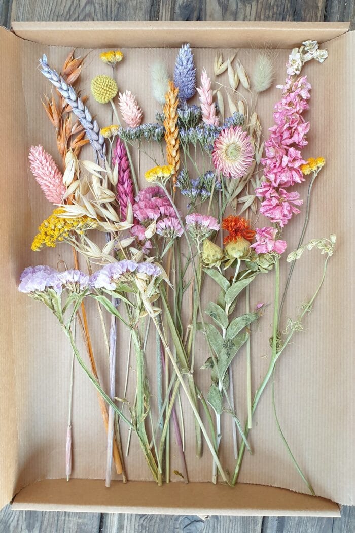 Bloemenpost Lente (incl. verzenden) - Afbeelding 2