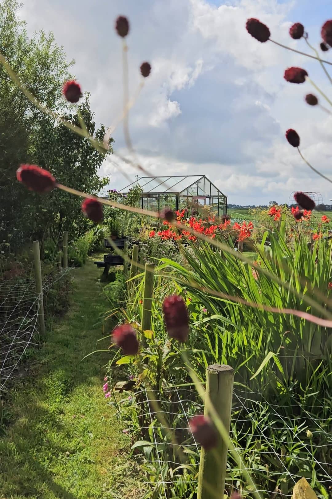 Workshop plukboeket zaterdag 19 september - Afbeelding 5