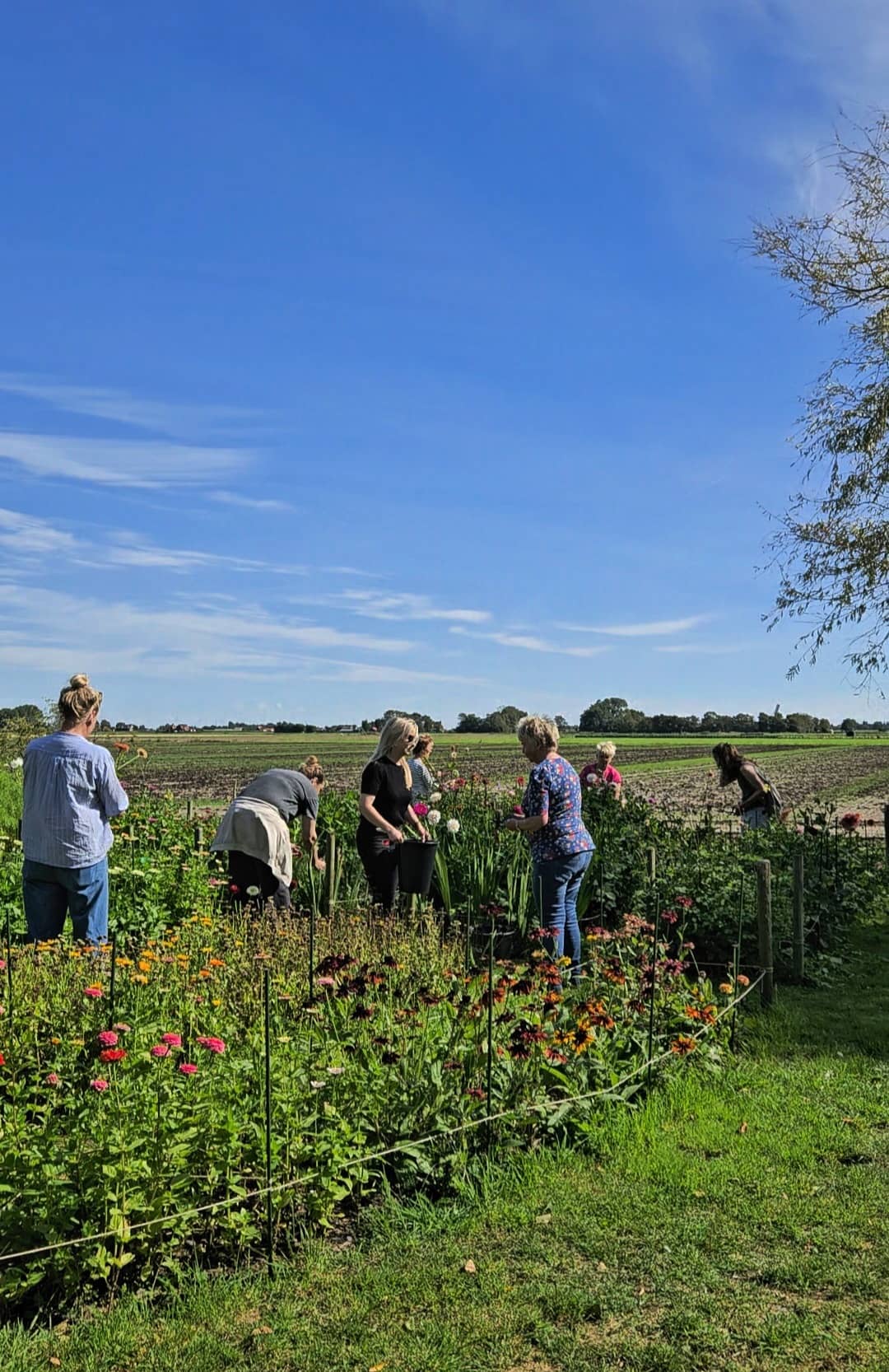 Workshop plukboeket zaterdag 19 september - Afbeelding 2