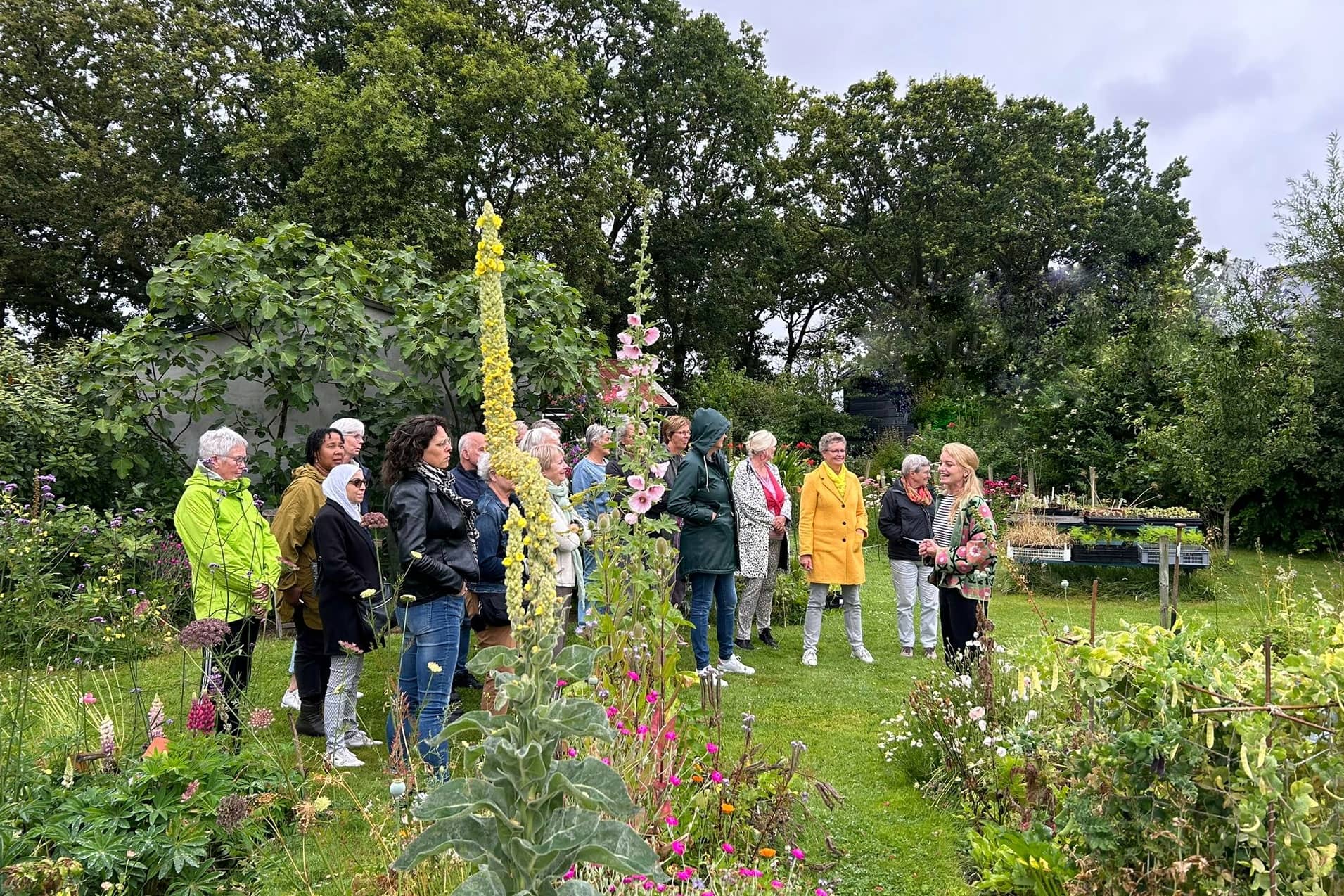 Workshop plukboeket zaterdag 19 september - Afbeelding 3